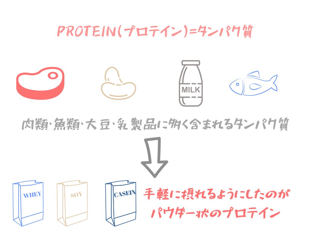 protein-effect-1 (1)